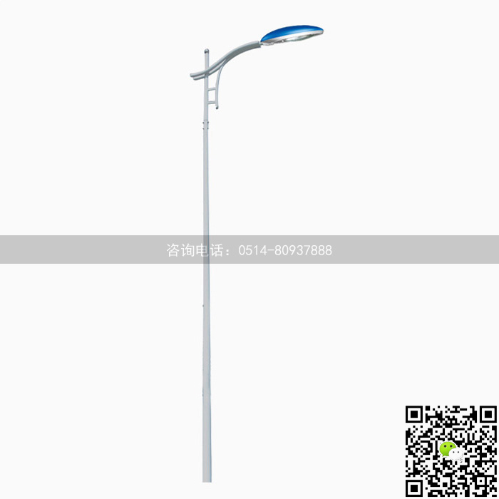 030路燈燈桿設(shè)計.jpg